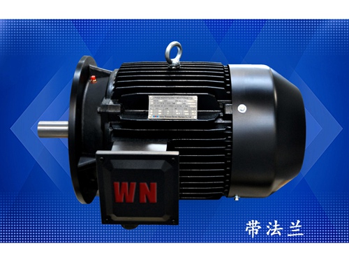 10 多級(ji)泵專用電(diàn)機（1）