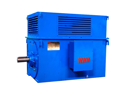 8 Y系列(lie)中型高壓(ya)高效電動(dong)機