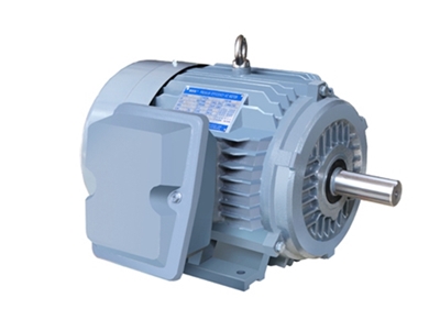 NE系列高(gāo)效高轉矩三相(xiang)異步電動機