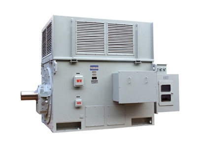 YR系列(lie)高壓三相異步(bu)電動機