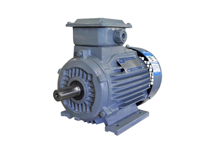 YX3系(xi)列超高(gao)效三相(xiang)異步電(diàn)動機