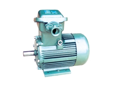 YFB系列粉(fěn)塵防爆型(xing)三相異步(bù)電動機