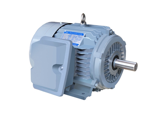 2 NE系列高(gāo)效高轉矩三相(xiàng)異步電動機