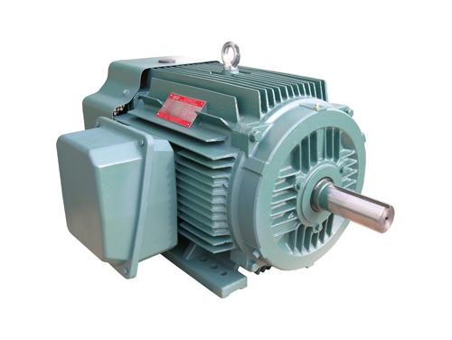 1 NEP系列超高效(xiao)率三相異步電(diàn)動機