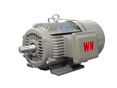 YEJ2系列電(dian)磁制動三相(xiang)異步電動機(ji)