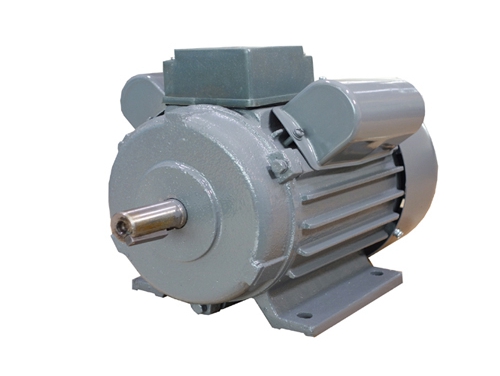 2 YL系列(liè)雙值電容(rong)異步電動(dong)機