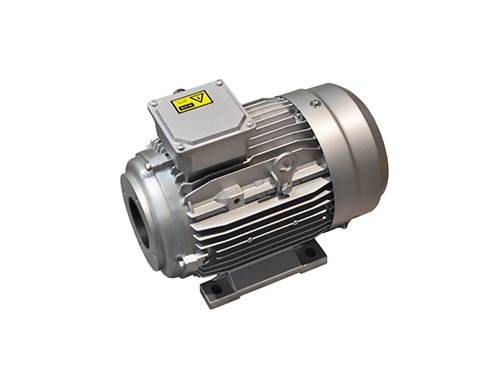 1 YYVF2系列新(xīn)能源汽車(che)助力轉向(xiàng)泵電機