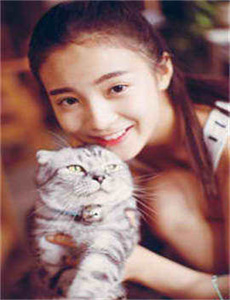 探险托里兰托