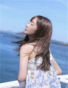 苹果梦