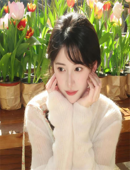 《大不列颠飞机史》与当代文化：美学的艺术标准与审美价值 认识文化多样性的价值